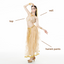 Middle East Belly Dancer Outfit - Costume Package