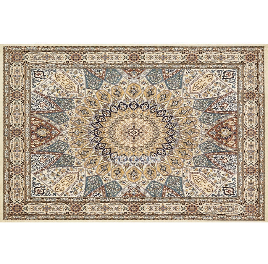 Bohemian Style Vintage Rug - Stain Resistant Rugs for Living Room Bedroom