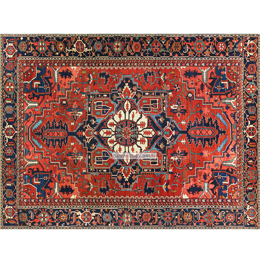 Bohemian Style Vintage Rug - Stain Resistant Rugs for Living Room Bedroom