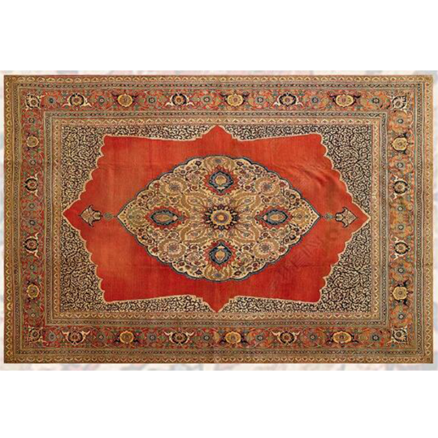 Bohemian Style Vintage Rug - Stain Resistant Rugs for Living Room Bedroom